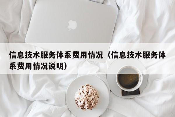 买球-信息技术服务体系费用情况（信息技术服务体系费用情况说明）