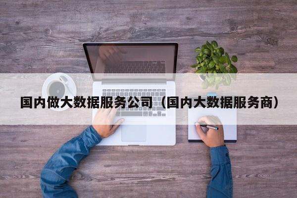 国内做大数据服务公司（国内大数据服务商）