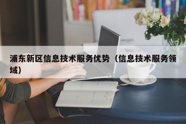 浦东新区信息技术服务优势（信息技术服务领域）