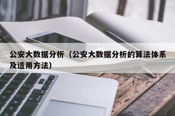 公安大数据分析（公安大数据分析的算法体系及适用方法）