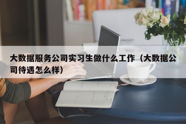 大数据服务公司实习生做什么工作（大数据公司待遇怎么样）