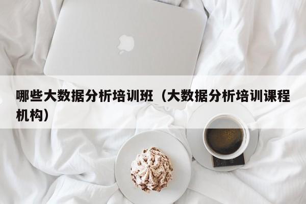 哪些大数据分析培训班（大数据分析培训课程机构）