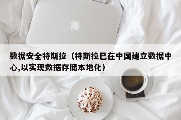 数据安全特斯拉（特斯拉已在中国建立数据中心,以实现数据存储本地化）